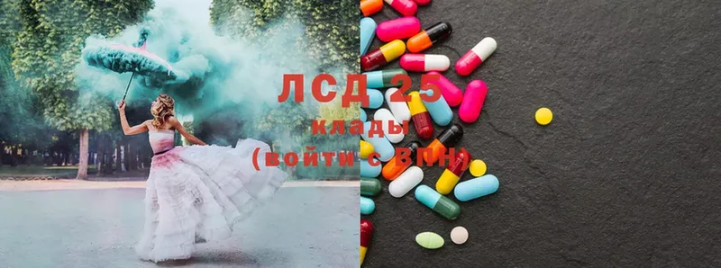 ЛСД экстази ecstasy  Александровск 